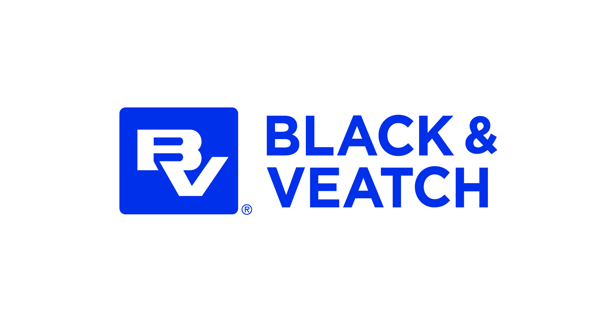 23 BV logo stacked blue knockout (002)